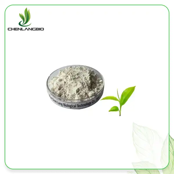 Epicatechin Powder